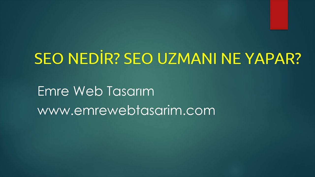 Seo Uzmanı Nedir? | SEO Uzmanları Neler Yapar? SEO Uzmanının Takip Ettiği Süreçler Nelerdir?